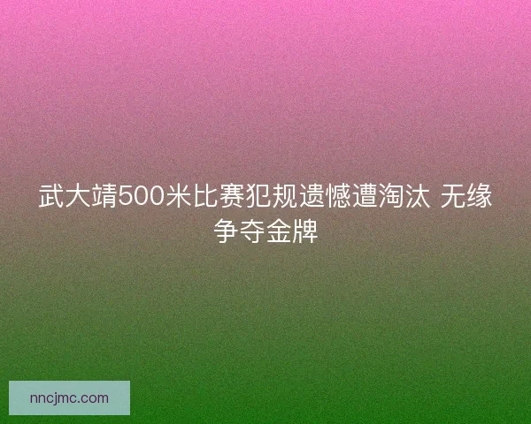 武大靖500米比赛犯规遗憾遭淘汰 无缘争夺金牌