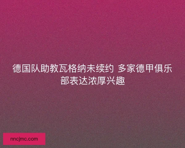 德国队助教瓦格纳未续约 多家德甲俱乐部表达浓厚兴趣